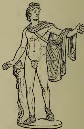 A black and white line drawing of the Apollo Belvedere statue. The statue depicts a young man standing, facing slightly to the right. He is nude, with a heavy, flowing drape (himation) fastened around his waist and hanging down his left side. He holds a bow in his right hand, which is raised slightly, and a laurel branch in his left hand, which is extended downwards. His expression is calm and serene. The statue is shown standing on a simple circular base.
