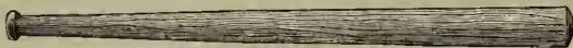A detailed illustration of a wooden baseball bat, shown horizontally. The bat has a rounded barrel and a tapered handle, with visible wood grain and some texture on the surface.