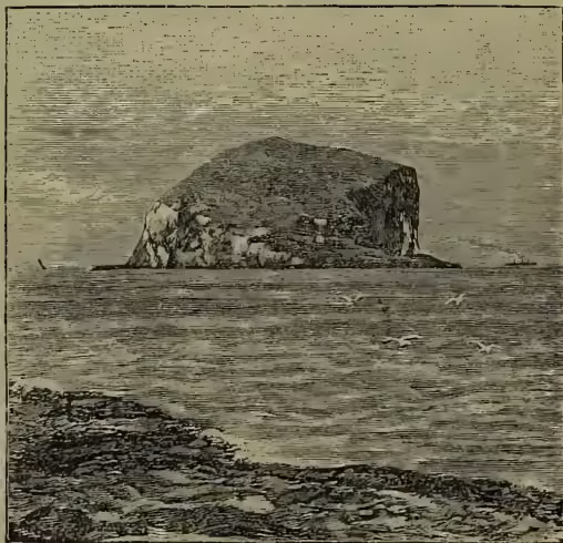 A black and white illustration of Bass Rock, a large, craggy island in the sea, viewed from the shore.