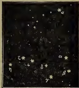 A diagram of the constellation Ursa Major, showing the seven stars of the Great Bear. The stars are arranged in a 'W' or 'M' shape. The brightest star, alpha (α), is at the top right. A line is drawn from the Pole-star (η) through the star Arcturus (α) to the star Denebola (β). Other stars are labeled with Greek letters: gamma (γ), delta (δ), epsilon (ε), zeta (ζ), and eta (η).