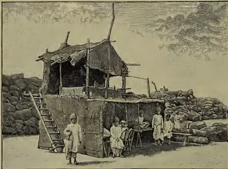 An illustration showing a group of men, identified as cotton merchants, gathered around a large, rustic wooden structure that appears to be a weighing scale or a small warehouse. The structure has a thatched roof and is situated on a sandy or rocky area. Several men in traditional Indian attire are standing around the structure, some appearing to be engaged in a transaction or discussion. A ladder is leaning against the structure on the left side.