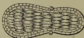A detailed line drawing of an ancient Egyptian sandal, showing a flat sole with a textured surface and a strap across the foot.
