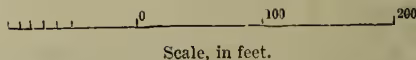 A scale bar in feet. It has markings at 0, 100, and 200 feet. The text 'Scale, in feet.' is written below the bar.