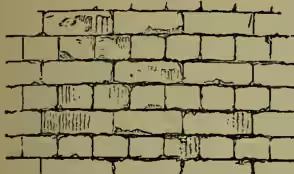 Diagram of Old English Bond, showing a brick wall with a regular pattern of horizontal and vertical joints.