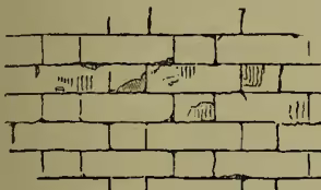 Diagram of Flemish Bond, showing a brick wall with a regular pattern of horizontal and vertical joints, similar to Old English Bond but with a different arrangement of bricks.