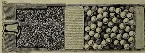 A detailed cross-sectional diagram of a central-fire shot cartridge. It shows a rectangular metal base on the left, containing a small percussion cap. To the right of the base is a paper cylinder filled with a dark powder charge. Further to the right, within the same paper cylinder, are numerous small, round shot pellets.