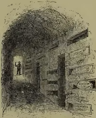 An illustration of a gallery within a catacomb. The gallery is a long, narrow, arched passage with a vaulted ceiling. On the right wall, several rectangular niches or tombs are visible, some containing skeletal remains. A small figure of a person stands in the distance at the end of the gallery, providing a sense of scale.