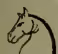 Icon of the Knight piece, a horse's head.
