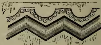 A technical drawing of a Chevron or Zigzag architectural moulding. It shows a series of repeating V-shaped or chevron shapes, with decorative elements at the top and bottom of each chevron. The drawing is a cross-section showing the depth and layers of the moulding.