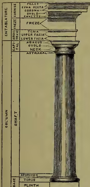 Fig. 1.—Tuscan Column. A detailed diagram of a Tuscan column with labels for its various parts. The top section is labeled 'ENTABLATURE' and includes 'FILLET', 'CYMA RECTA', 'CORONA', 'OVULO', 'CAVETTO', 'FRIEZE', 'TRAVE', 'UPPER FACIA', and 'LOWER FACIA'. The middle section is labeled 'COLUMN SHAFT' and includes 'ABACUS', 'OVULO', 'NECK', and 'ASTRAGAL'. The bottom section is labeled 'BASE' and includes 'APOPHYSES', 'TORUS', and 'PLINTH'.