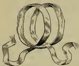 A diagram showing a 'clove-hitch' knot, which is a type of knot used for tying bandages. It consists of two loops of rope tied together, with the ends of the rope extending outwards.