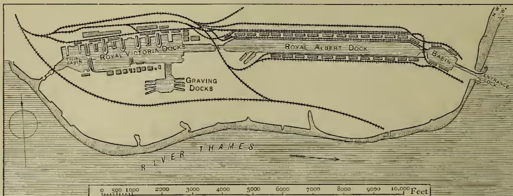 Fig. 1.—Plan of the Royal Albert and Victoria Docks, London. The map shows the River Thames at the bottom, with the Royal Victoria Docks and Royal Albert Dock extending into the water. The Victoria Docks include a basin, graving docks, and an entrance lock. The Albert Dock is a large rectangular basin. A scale bar at the bottom indicates distances from 0 to 10,000 feet. A north arrow is in the upper left corner.