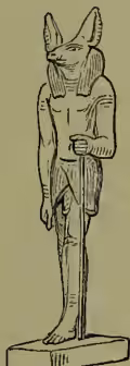 Figure 3: A standing statue of Anup or Anubis, the jackal-headed god, wearing a short kilt and holding a small object.