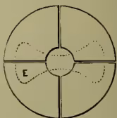 A top-down diagram of a quadrant electrometer. It shows a circle divided into four equal quadrants by two perpendicular lines. Each quadrant is labeled with a letter 'E' and has a small circle in its center. Dashed lines connect the centers of the quadrants to a central point.
