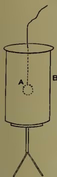 Diagram of an electroscope setup. A cylindrical vessel labeled 'B' is supported by a tripod stand. A lid is suspended from the top of the vessel by a thin thread. A small sphere labeled 'A' is suspended from the thread, positioned just inside the vessel. The gold leaves of the electroscope are shown diverging, indicating a positive charge on the vessel.