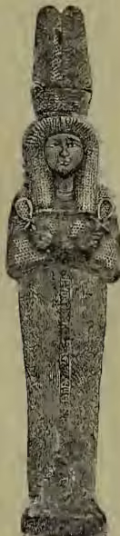A photograph of a tall, slender Egyptian mummy of Queen Ahmes Nofretari, standing upright and wearing a tall, ornate headdress.