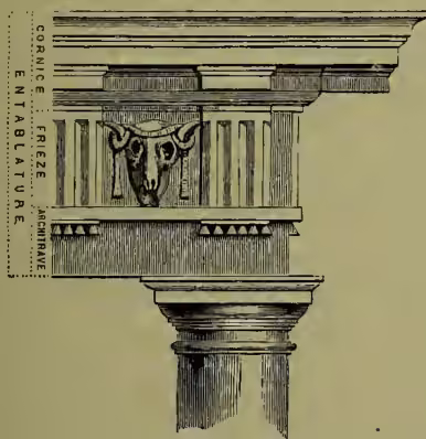 A detailed architectural drawing of a Doric entablature. It shows the architrave with a bull's head (metope) between the triglyphs. The frieze is above the architrave, and the cornice is at the top. A vertical label on the left side of the drawing reads 'CORNICE', 'FRIEZE', 'ARCHITRAVE', and 'ENTABLATURE' from top to bottom.