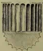 A cross-section diagram of a Corinthian column capital, showing the flutes as vertical grooves separated by small semicircular fillets.