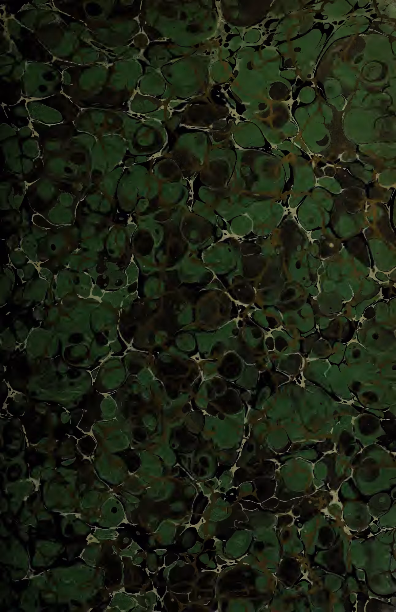 A full-page image of a marbled paper pattern featuring large, irregular green and dark brown shapes separated by thin, light-colored veins.