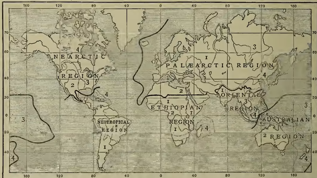 A world map showing the Zoogeographical Regions according to A. R. Wallace. The map is divided into four main regions: NEARCTIC REGION, PALÆARCTIC REGION, NEOTROPICAL REGION, and AUSTRALIAN REGION. Each region is further subdivided into sub-regions, indicated by numbers 1 through 4. The map includes latitude and longitude lines, with longitudes marked at 160, 120, 80, 40, 0, 40, 80, 120, and 160 degrees, and latitudes at 70, 60, 40, 20, 0, 20, 40, and 60 degrees. The sub-regions are: Nearctic (1. European, 2. Mediterranean, 3. Siberian, 4. Manchurian); Palearctic (1. Indian, 2. Ceylonese, 3. Indo-Chinese, 4. Indo-Malayan); Neotropical (1. East African, 2. West, 3. South, 4. Malagasy); and Australian (1. Austro-Malayan, 2. Australian, 3. Polynesian, 4. New Zealand).