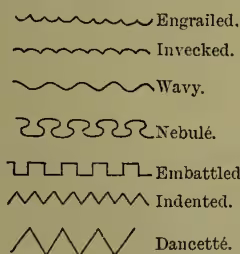 Diagram showing six types of irregular partition lines: Engrailed (wavy), Invecked (sawtooth), Wavy (undulating), Nebulé (interlocking loops), Embattled (stepped), and Indented (zigzag).