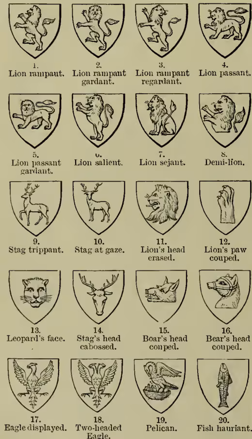 A grid of 20 heraldic shields, each numbered 1 to 20 and labeled with its name. 1. Lion rampant. 2. Lion rampant gardant. 3. Lion rampant regardant. 4. Lion passant. 5. Lion passant gardant. 6. Lion salient. 7. Lion sejant. 8. Demi-lion. 9. Stag trippant. 10. Stag at gaze. 11. Lion's head erased. 12. Lion's paw coupé. 13. Leopard's face. 14. Stag's head cabossed. 15. Boar's head coupé. 16. Bear's head coupé. 17. Eagle displayed. 18. Two-headed Eagle. 19. Pelican. 20. Fish hauriant.
