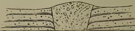 A geological cross-section diagram showing a central neck of rock filled with small, irregular fragments, representing a neck filled with fragmental igneous rock.