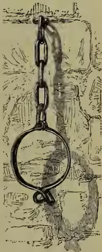 A woodcut illustration of a joug, which is a large, circular iron collar or ring. It is suspended by a chain of three links from a stone pillar or wall. The joug is positioned as if it were to encircle a person's neck. The background shows a rough, textured stone surface.