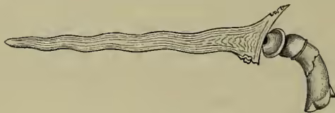 A detailed black and white illustration of a Malay Kris, a traditional dagger. It features a long, slender, slightly curved blade with a textured surface, and a thick, curved handle with a decorative guard near the base of the blade.