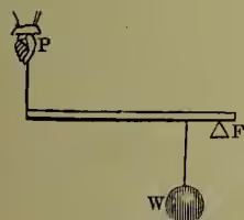 Fig. 3. A diagram of a second class lever. A horizontal rod is supported by a triangular fulcrum labeled 'F' on the right. A weight 'W' is suspended from the middle of the rod. A hand 'P' is pushing down on the left end.