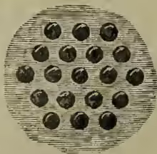 Diagram of a section of a magnet according to Ampère's theory. It shows a circular cross-section with many small circles (representing current loops) arranged in a regular grid pattern. Arrows on the circles indicate the direction of the current loops.