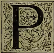 A large, ornate capital letter 'P' with decorative flourishes, serving as the first letter of the word 'Phoenician' in the first paragraph.