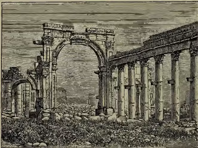 A black and white engraving showing the ruins of the Great Colonnade in Palmyra. The image depicts a long, straight row of tall, fluted Corinthian columns standing in a row, with some sections of the colonnade's arches still visible. The ground is uneven and rocky, and the sky is clear.
