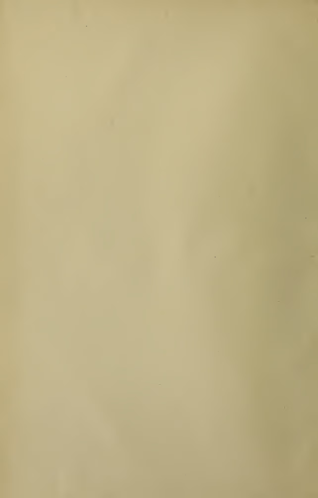 A blank page with a light beige or cream color, showing minor scanning artifacts.