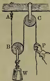 Diagram of a single movable pulley system. A rope is anchored to a ceiling, passes under a movable pulley holding weight W, and then over a fixed pulley C. A hand pulls down on the free end of the rope, applying a force P.