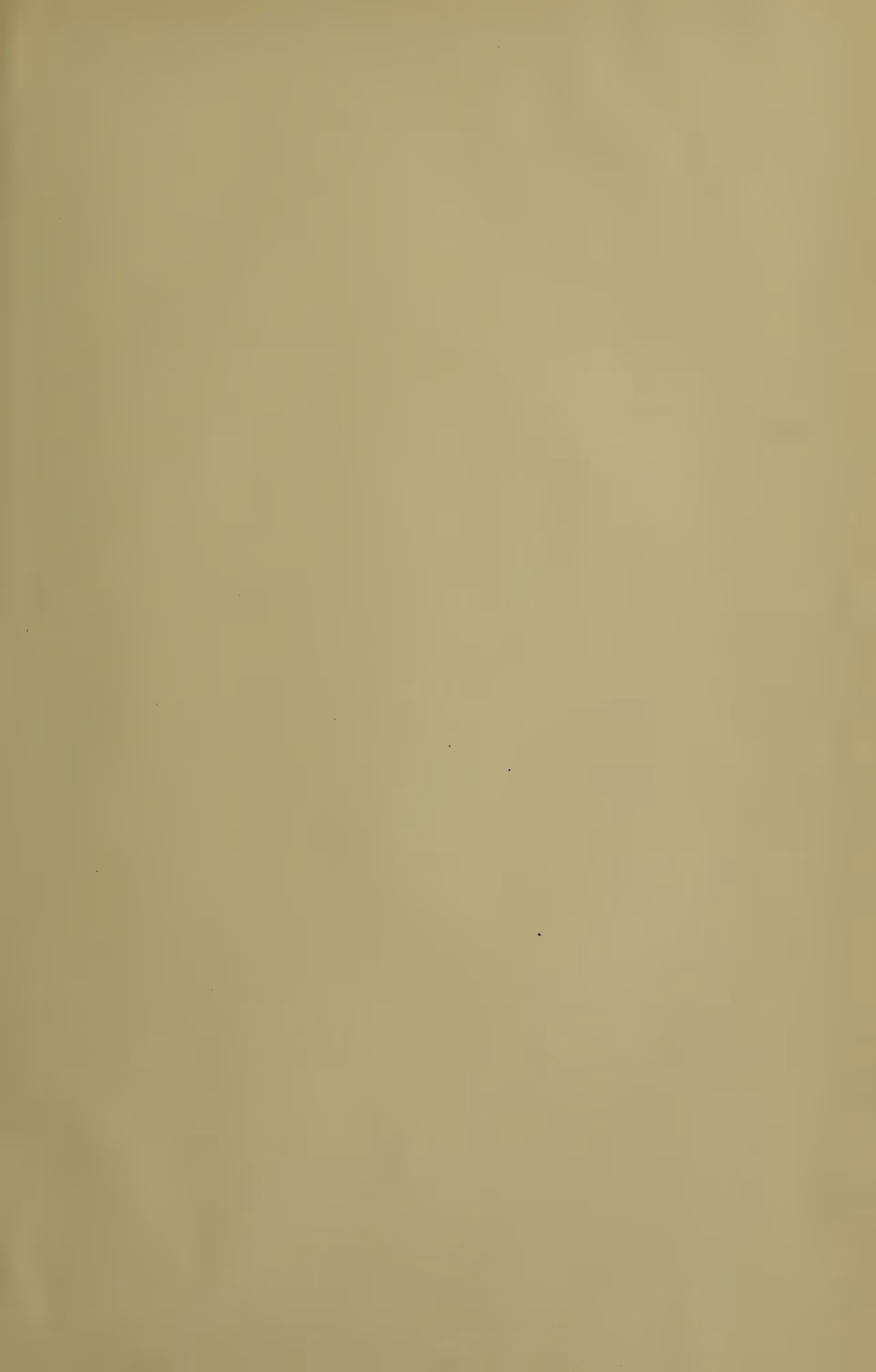 A blank page with a light beige or cream color, showing minor scanning artifacts.