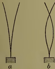 Figure 6: Two diagrams (a, b) of a tuning-fork. (a) shows the fundamental mode with a single node at the base. (b) shows the first overtone with two nodes, one at the base and one at the top.