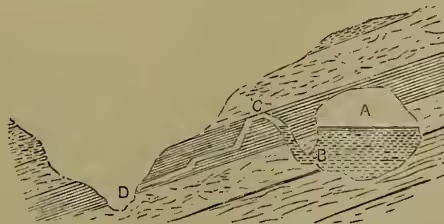 Fig. 2. A geological cross-section showing a reservoir (A) and a siphon-shaped tube (BCD) that leads to the surface. The tube starts at point B in the reservoir, goes down to point C, then up to point D on the surface. The water level in the reservoir is higher than the siphon at C, but lower than the siphon at D.