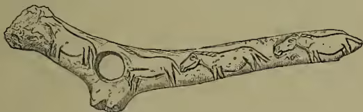 A carved reindeer-horn with intricate relief carvings of animals and figures, showing a central hole for a shaft.